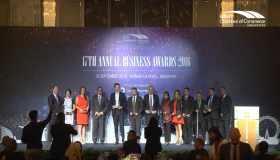 17th Annual Business Awards Highlights