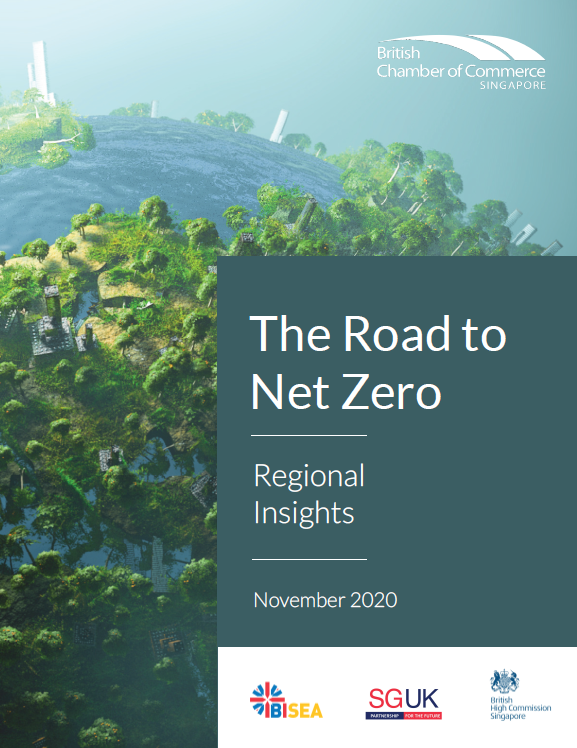 Road to Net Zero Regional Insights