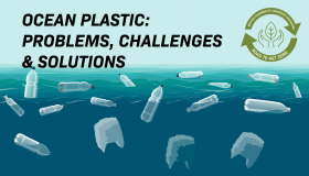 Ocean Plastic: Problems, Challenges & Solutions