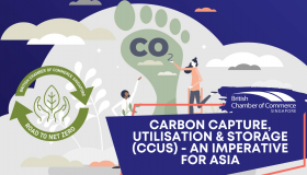 Carbon Capture, Utilisation & Storage (CCUS) - An Imperative for Asia