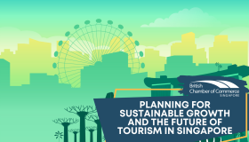 Planning for Sustainable Growth & the Future of Tourism in Singapore